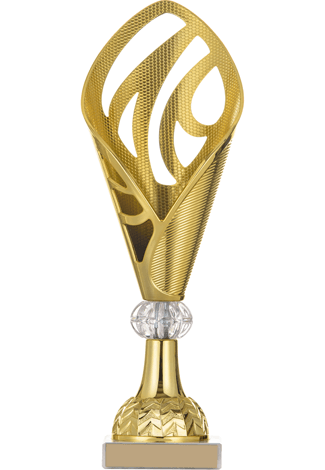 https://fiarsa.com/wp-content/uploads/2022/10/trophies_03.png